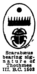 scarabaeus B.C. 1603