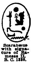scarabaeus-1880