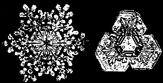 Snow Flakes